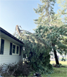 tree service review by karen siler